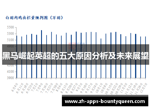 黑马崛起英超的五大原因分析及未来展望